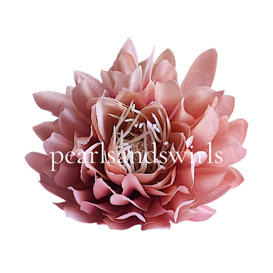 Peach Water Lily - PNSWL01