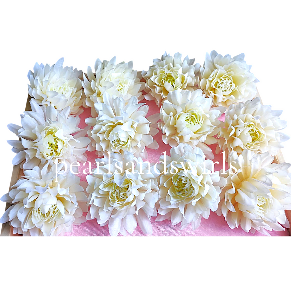 Cream Water Lily - PNSWL02