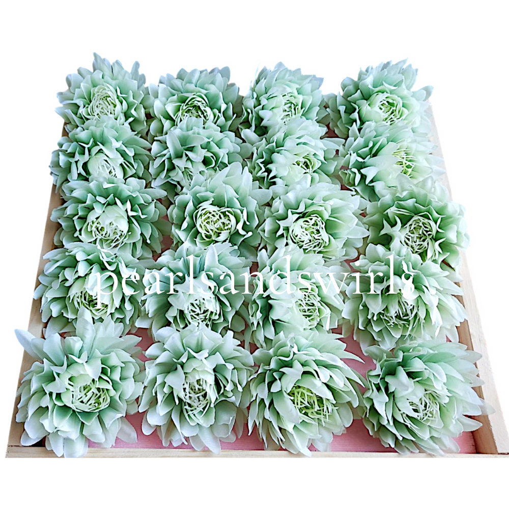 Light Green Water Lily - PNSWL03