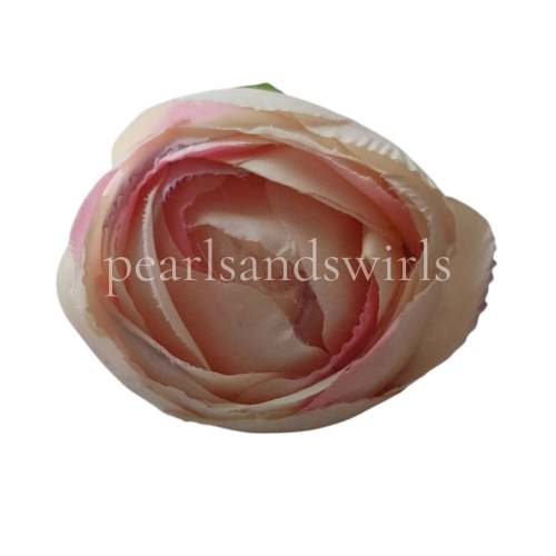 Shaded Cream Peony - PNSOP22