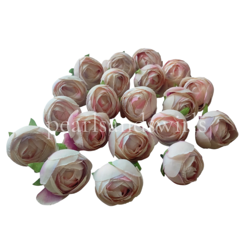 Shaded Cream Peony - PNSOP22