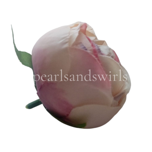 Shaded Cream Peony - PNSOP22