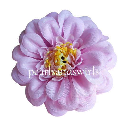 Baby Pink Zinnia - PNSZN01