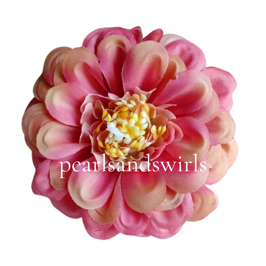 Blush Pink with hint of peach Zinnia- PNSZN02