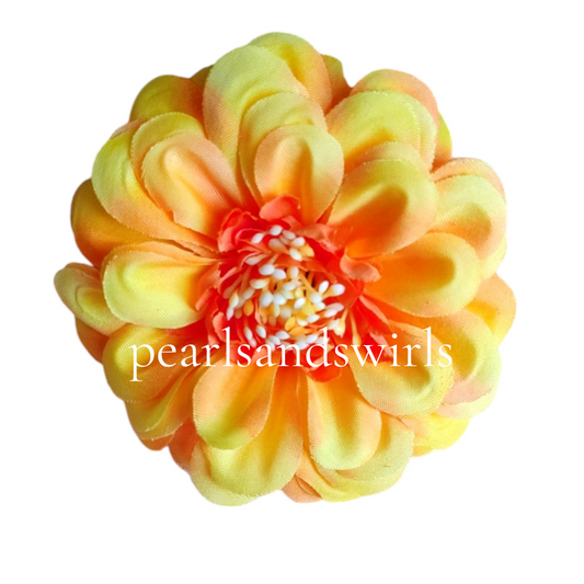 Bright Yellow with hint of orange Zinnia- PNSZN03