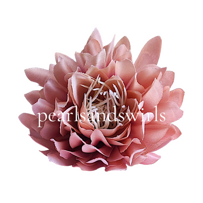 Peach Water Lily - PNSWL01