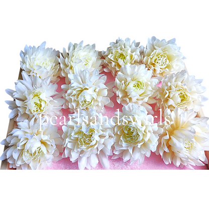 Cream Water Lily - PNSWL02