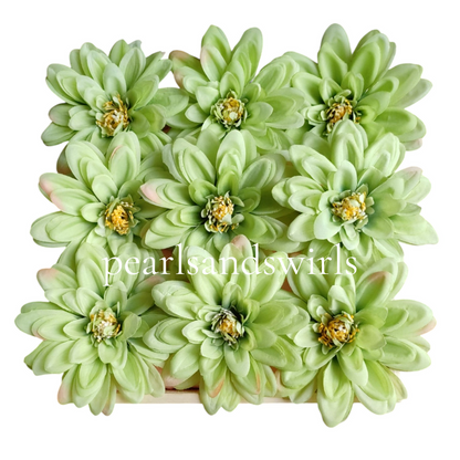Light Green Big Dahlia - PNSDH01