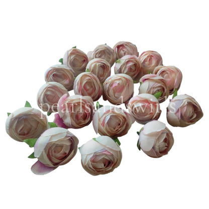 Shaded Cream Peony - PNSOP22