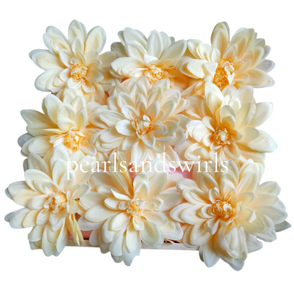 Lemon Big Dahlia - PNSDH02