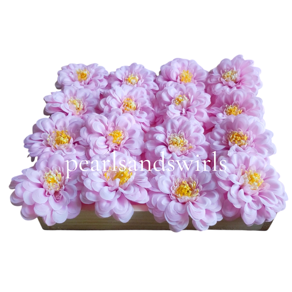 Baby Pink Zinnia - PNSZN01