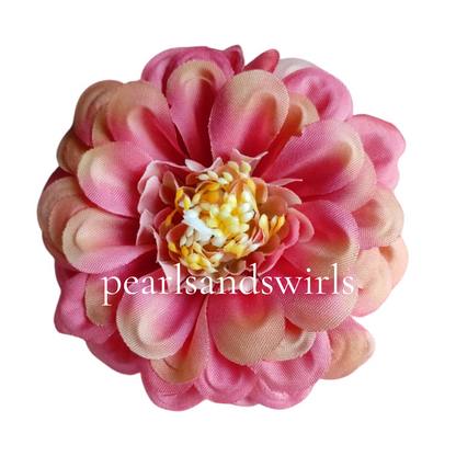 Blush Pink with hint of peach Zinnia- PNSZN02