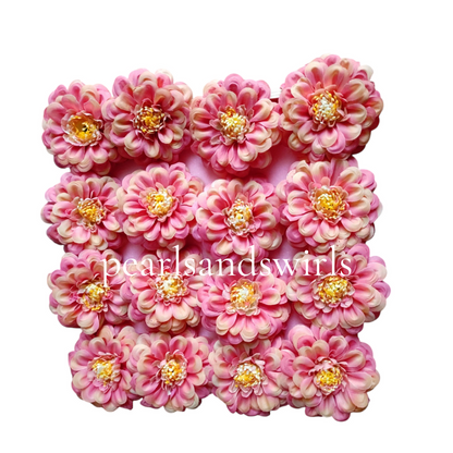 Blush Pink with hint of peach Zinnia- PNSZN02