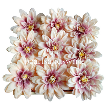 Peach with Blush Pink Big Dahlia - PNSDH03